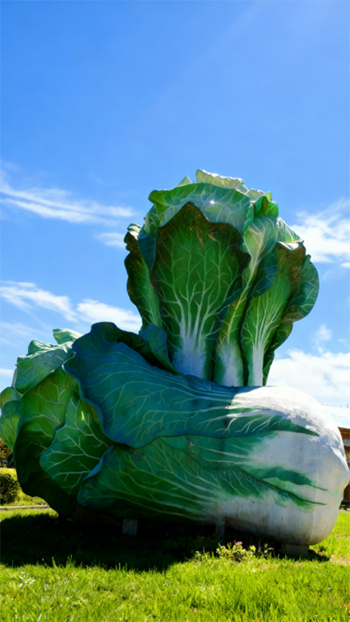 玻璃鋼仿真白菜雕塑 (10)