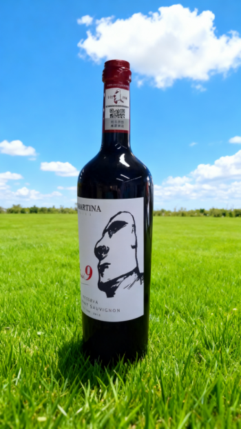 玻璃鋼仿真酒瓶雕塑 (12)