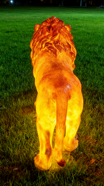 玻璃鋼仿真獅子雕塑 (20)