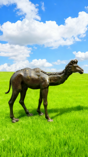 玻璃鋼駱駝雕塑 (5)