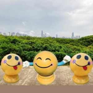 笑臉表情包 玻璃鋼